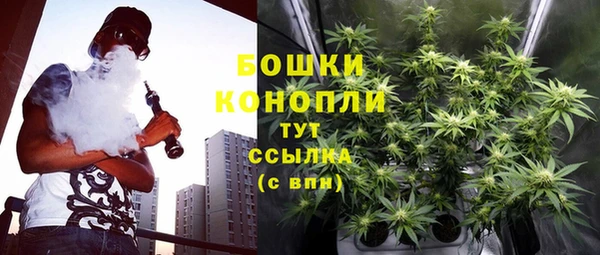крисы Армянск