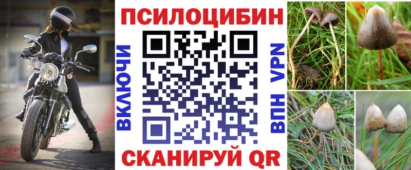 Псилоцибиновые грибы Cubensis  Купить  Каргополь 